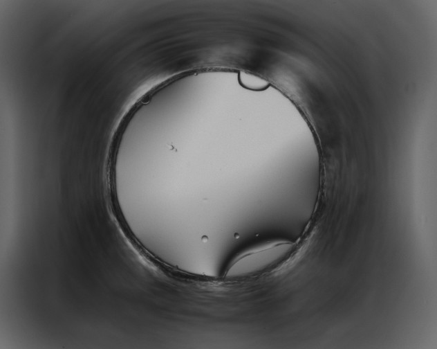 X0000086991141200705071431