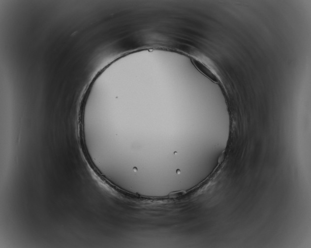 X0000086991143200705071431