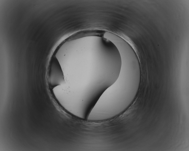 X0000086991144200705071431