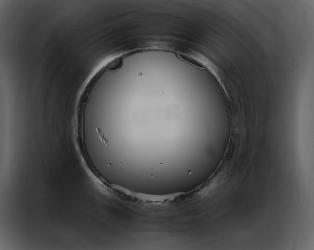 X0000086991147200705071431