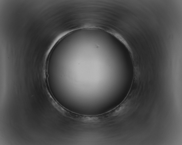 X0000086991148200705071431