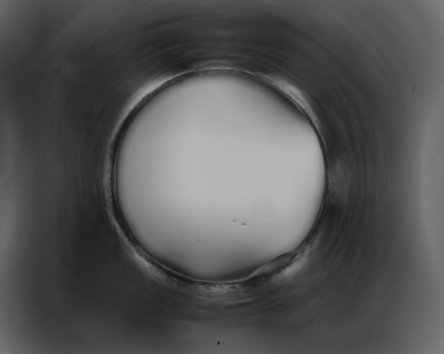 X0000086991149200705071431