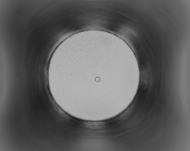 X0000086991150200705071431