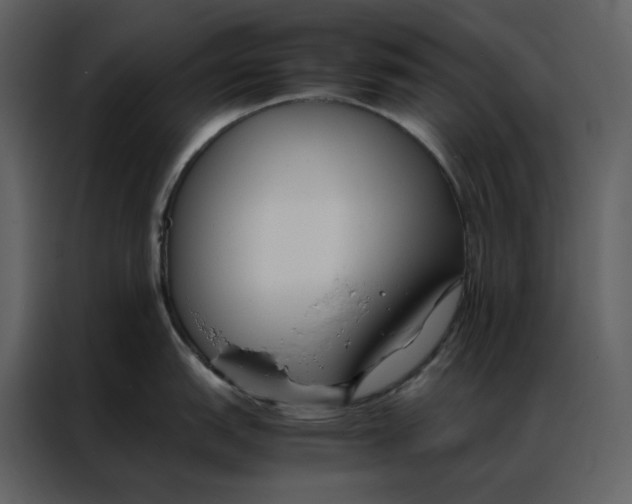 X0000086991151200705071431