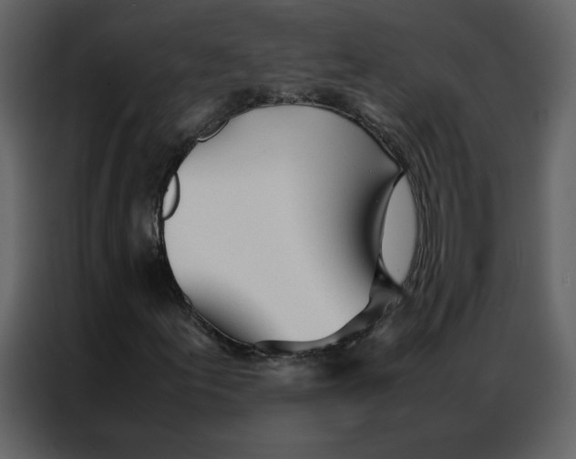 X0000086991155200705071431