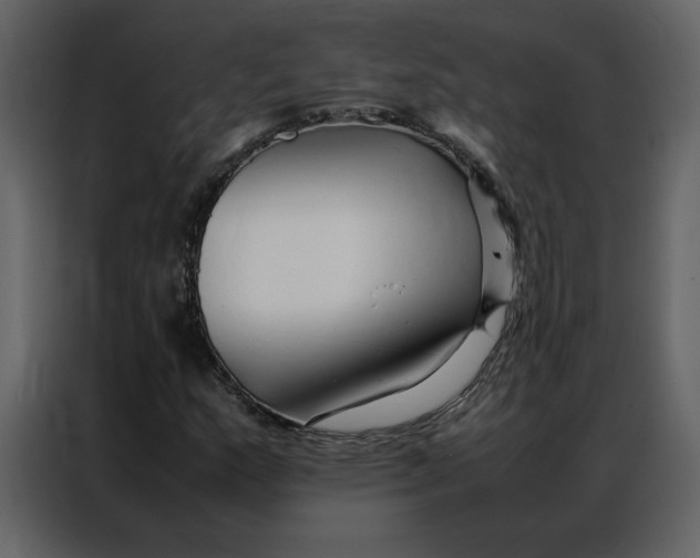 X0000086991159200705071431