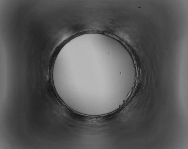 X0000086991165200705071431