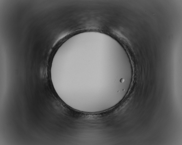 X0000086991166200705071431