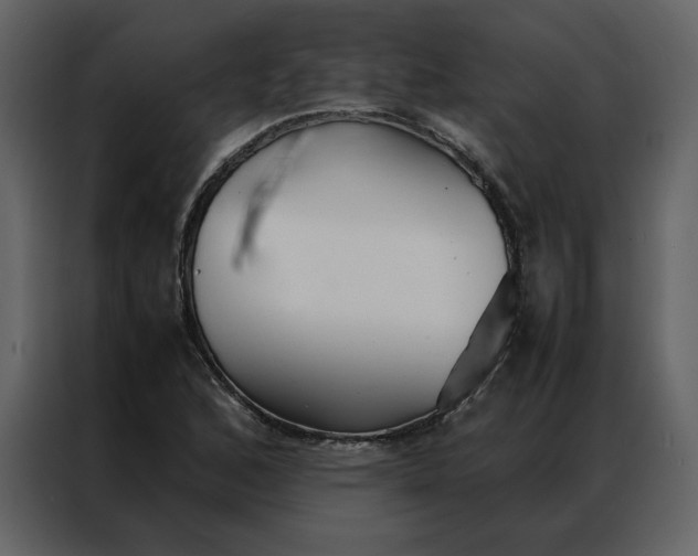 X0000086991168200705071431