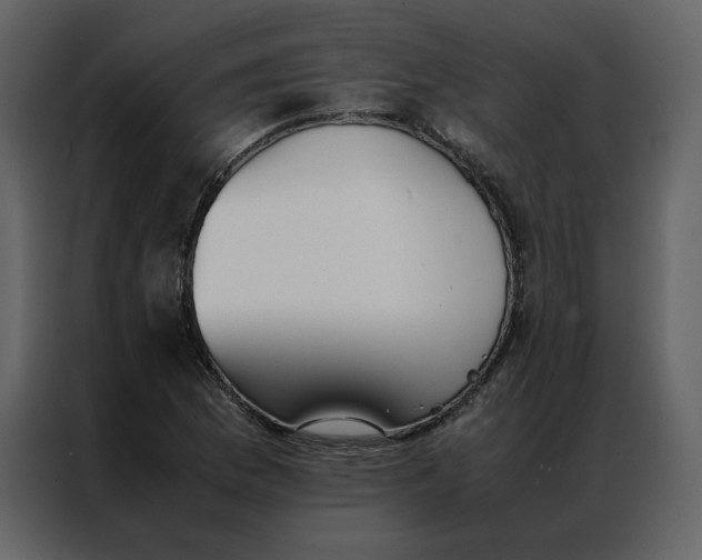 X0000086991169200705071431