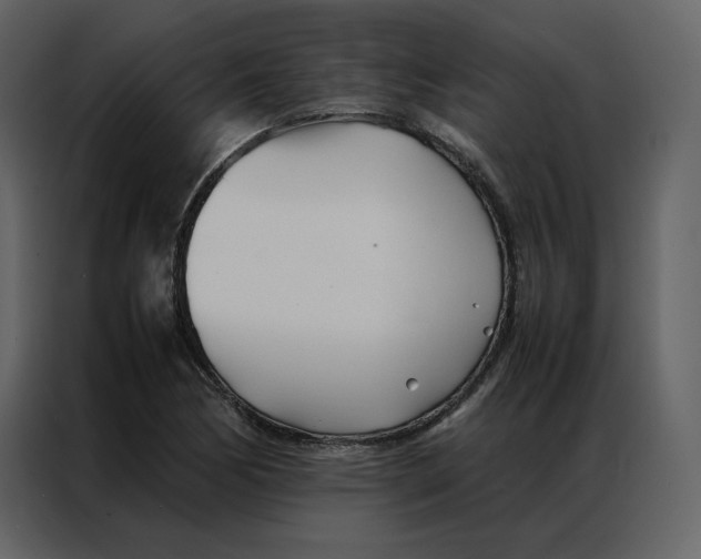 X0000086991170200705071431