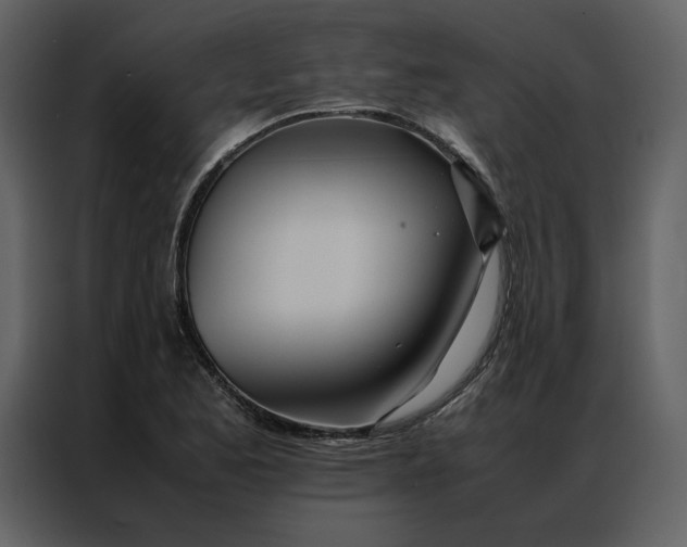 X0000086991173200705071431