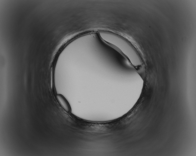 X0000086991175200705071431