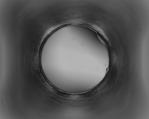 X0000086991176200705071430