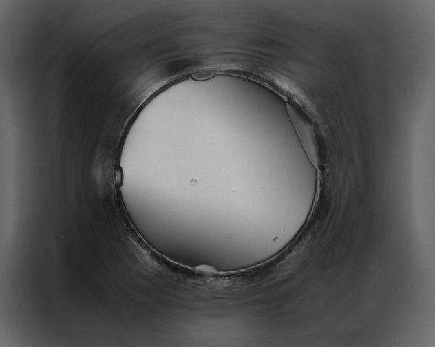 X0000086991177200705071430