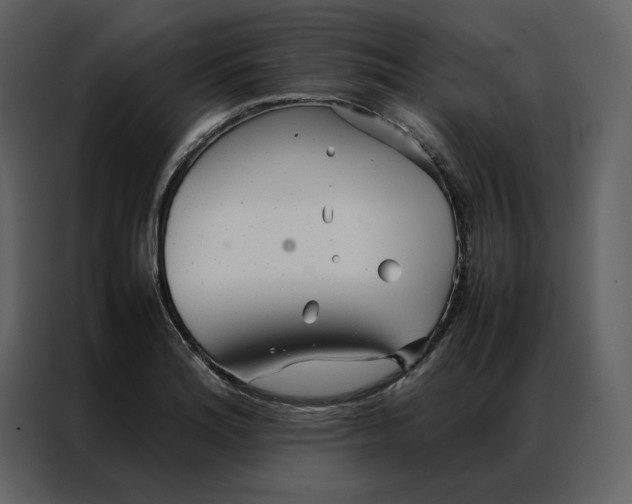 X0000086991180200705071430