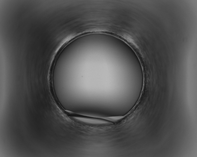 X0000086991181200705071430