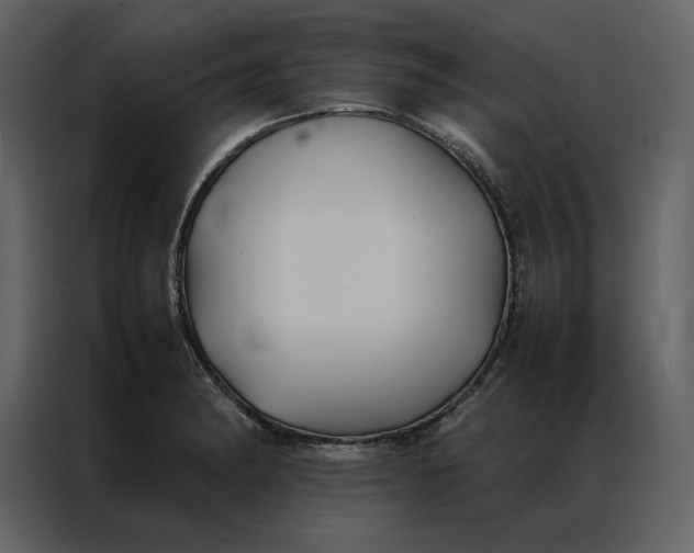 X0000086991182200705071430