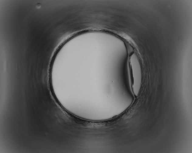 X0000086991183200705071430