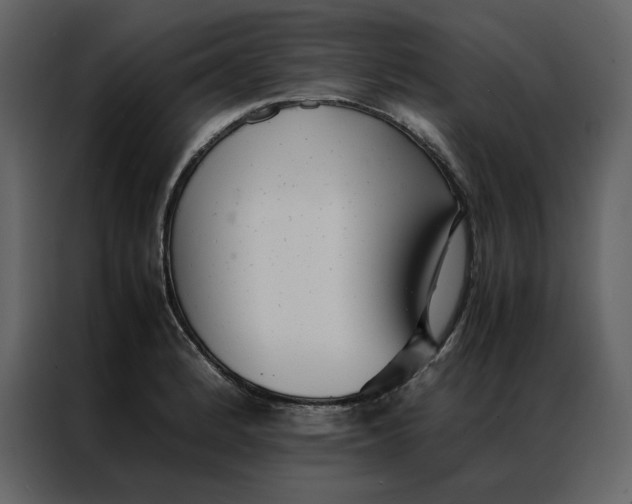 X0000086991184200705071430