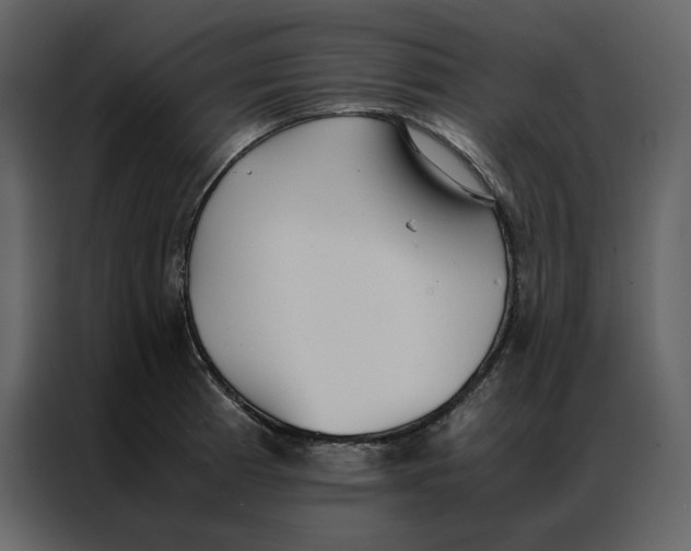 X0000086991185200705071430