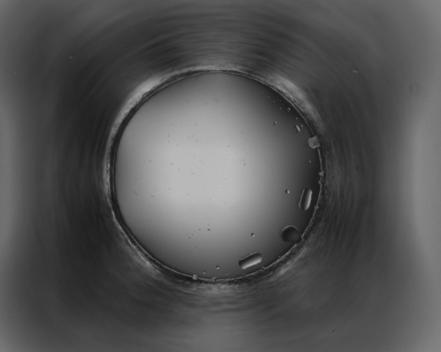 X0000086991188200705071430