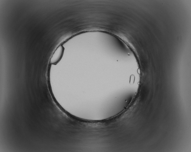 X0000086991189200705071430