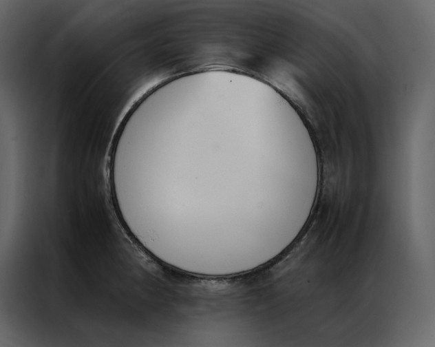 X0000086991190200705071430