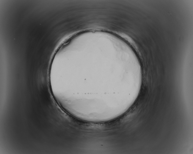 X0000086991191200705071430