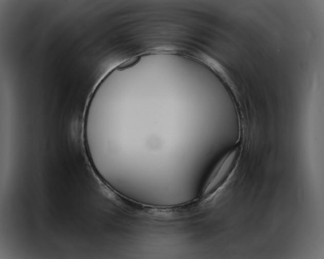 X0000086991194200705071430