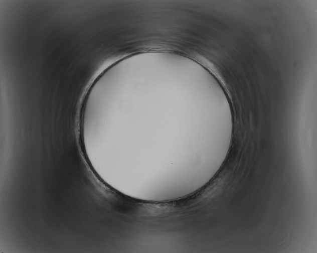 X0000086991195200705071430