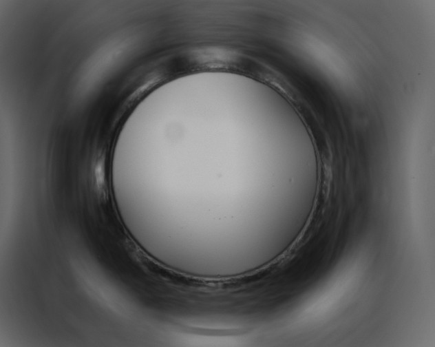 X0000086991198200705071430