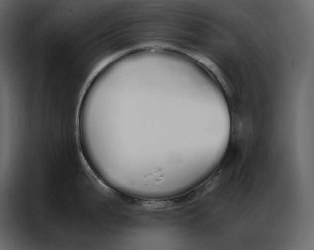 X0000086991199200705071430