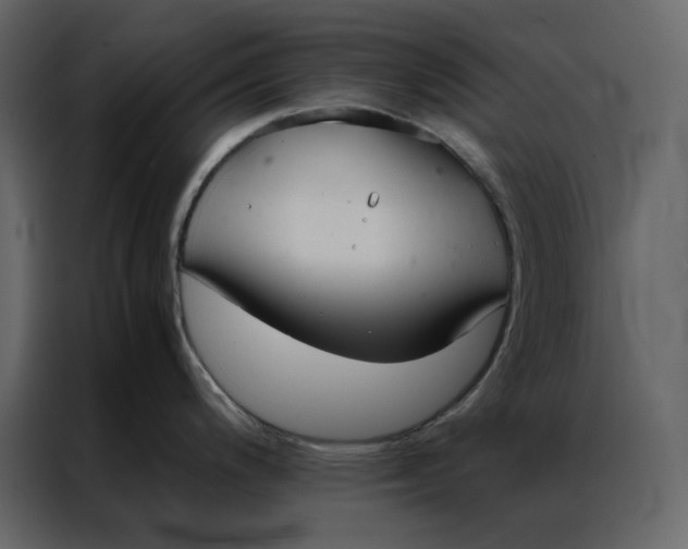 X0000086991200200705071430