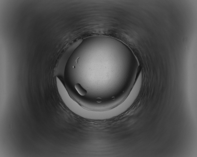 X0000086991202200705071430