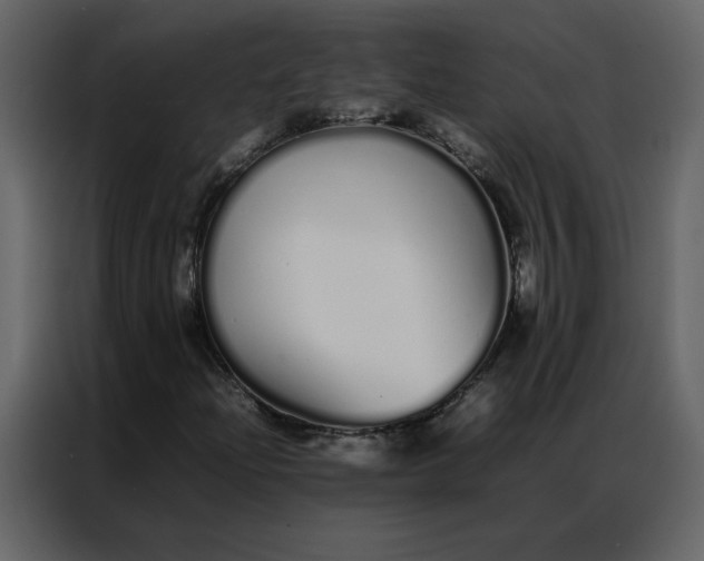 X0000086991204200705071430