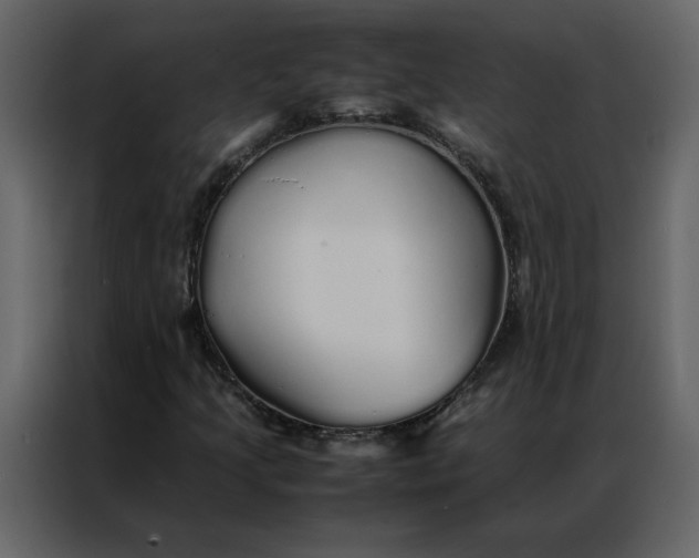 X0000086991205200705071430