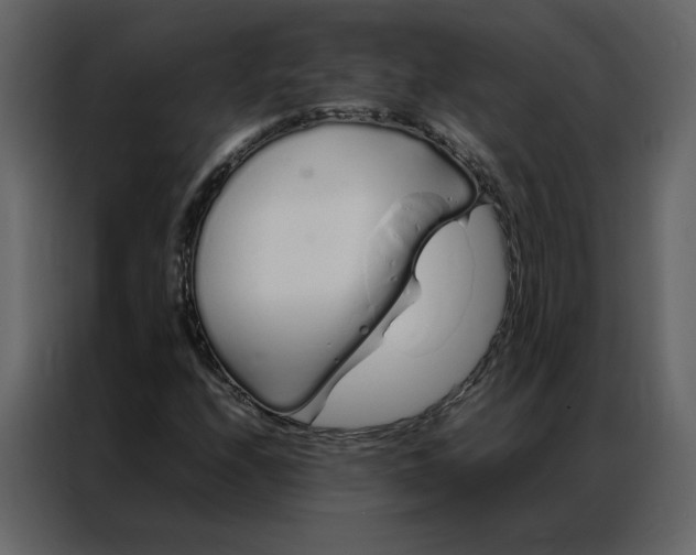 X0000086991208200705071430