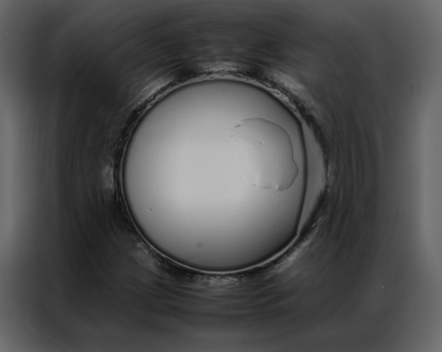 X0000086991209200705071430