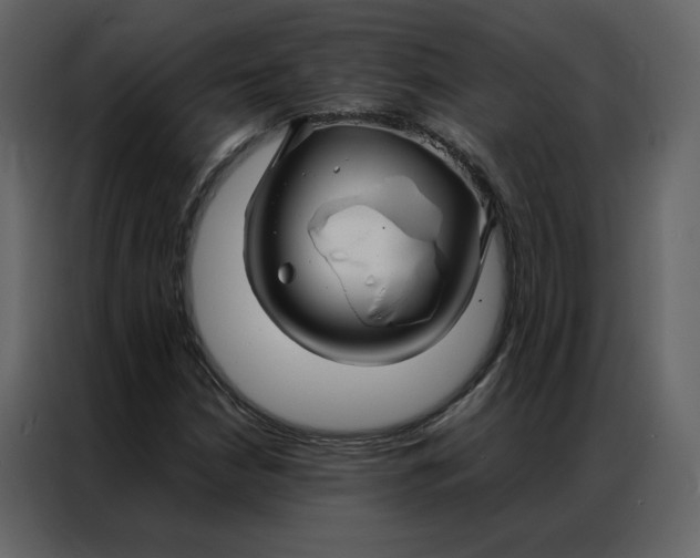 X0000086991210200705071430