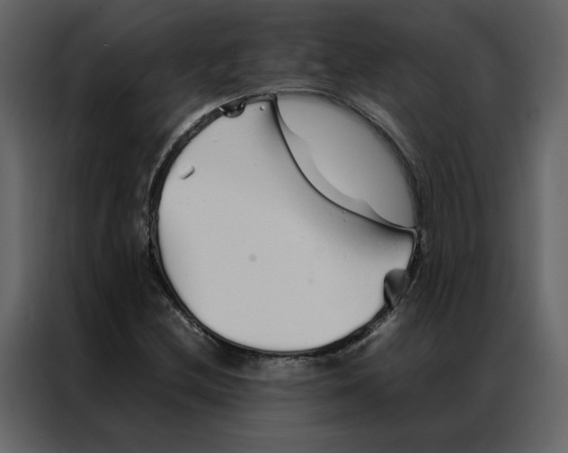 X0000086991212200705071430