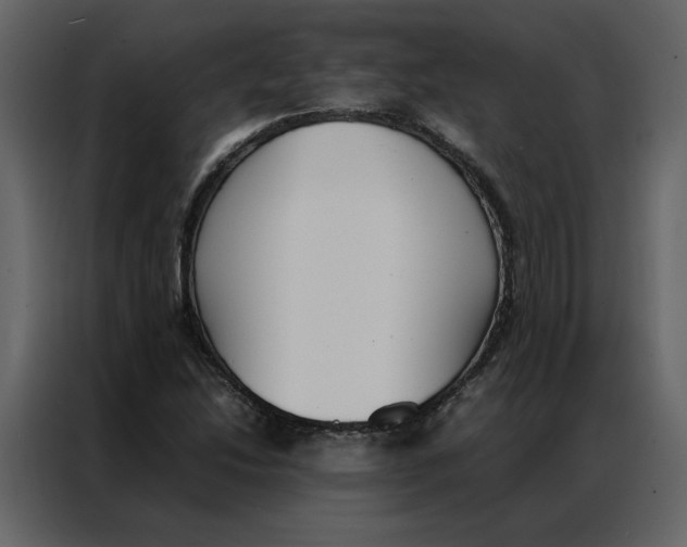 X0000086991214200705071430