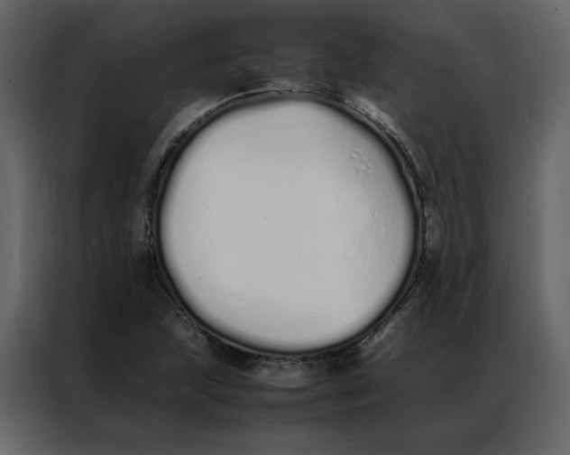 X0000086991215200705071430