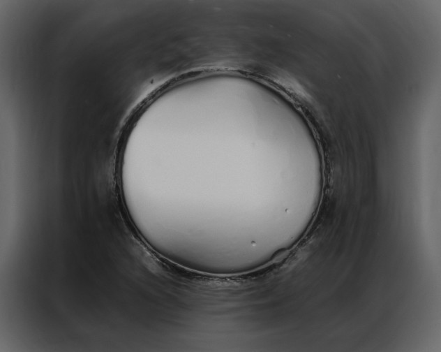 X0000086991216200705071430