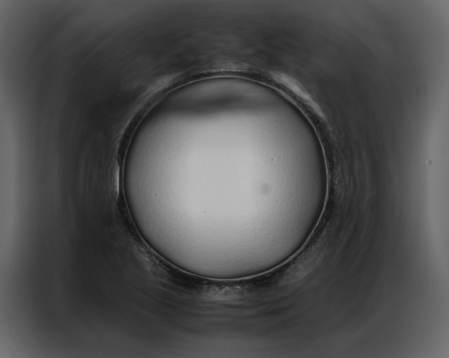 X0000086991221200705071430