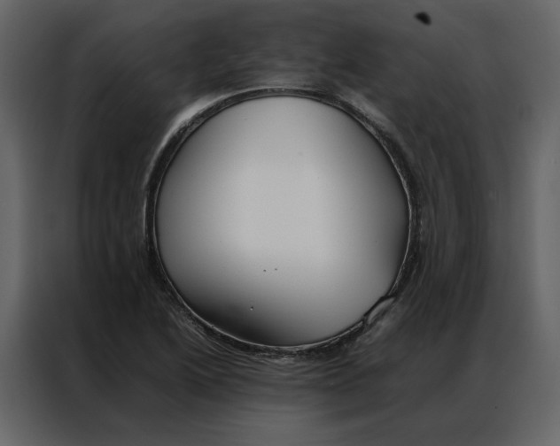 X0000086991222200705071430