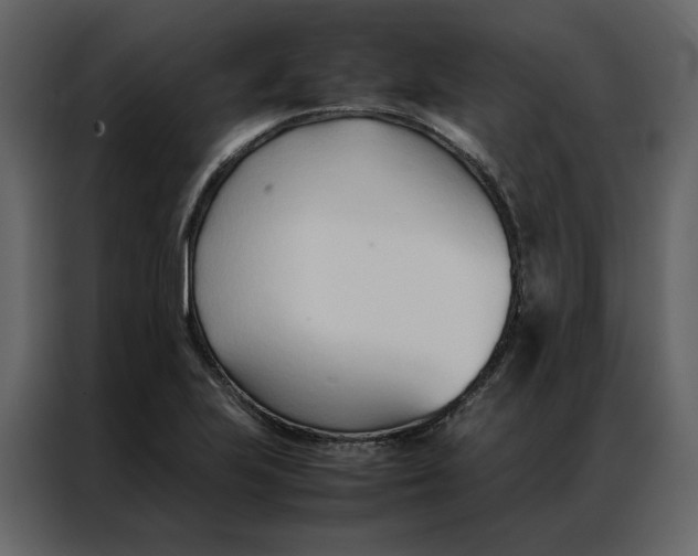 X0000086991223200705071430