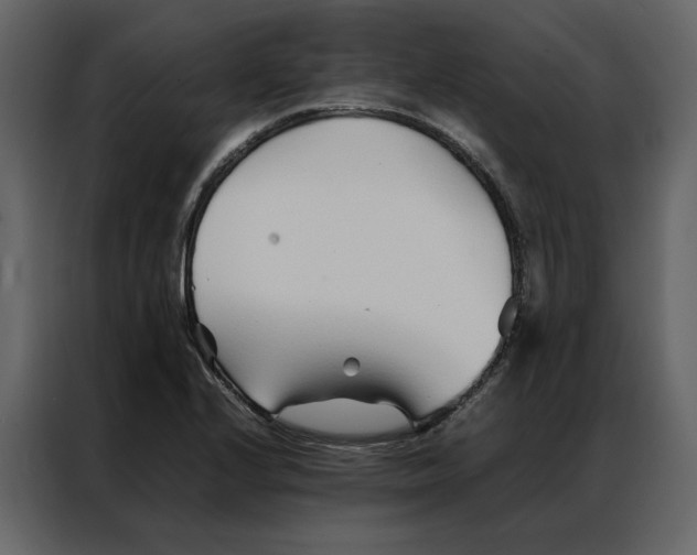 X0000086991224200705071430