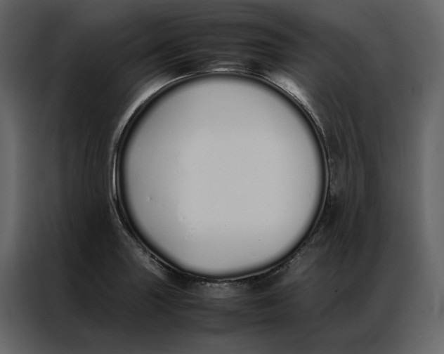 X0000086991227200705071430