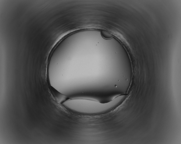 X0000086991228200705071430